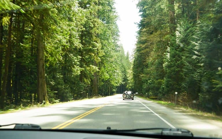 7-Day Vancouver Island Road Trip Itinerary (With Map)