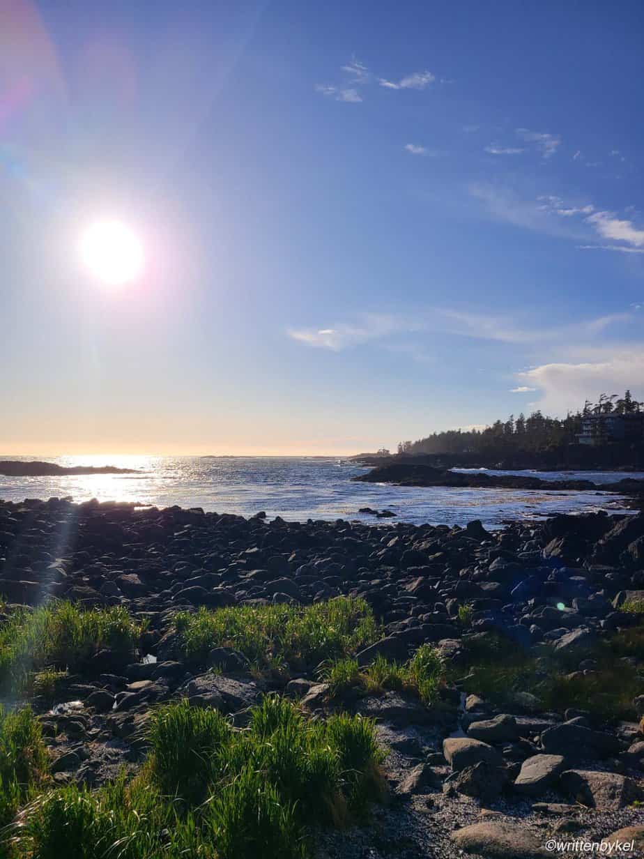 Beautiful evening sunsetting with a rocky shoreline and the ocean in the background. There are some long grass patches growing between rocks on the sand. There is a building  on the right handside in the distance.